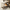 Aktionsbanner
