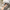 Aktionsbanner