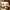 Aktionsbanner