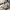 Aktionsbanner