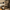 Aktionsbanner