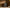 Aktionsbanner