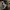 Aktionsbanner