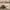 Aktionsbanner