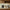 Aktionsbanner