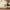 Aktionsbanner
