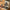 Aktionsbanner