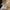 Aktionsbanner