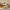 Promotion banner