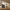 Promotion banner